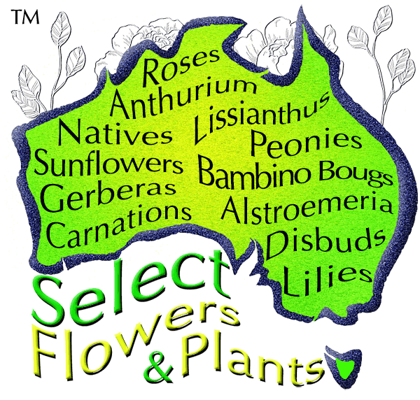 SELECT FLOWERS and PLANTS